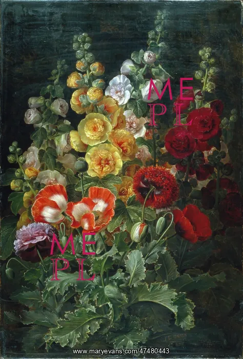 : Poppies and Hollyhocks : Poppies and Hollyhocks