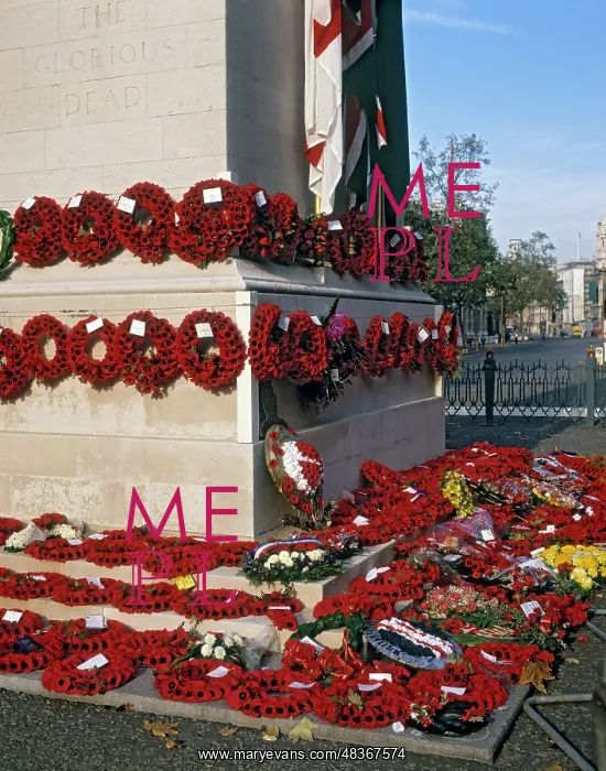 : Poppies laid at The Cenotaph : Poppies laid at The Cenotaph
