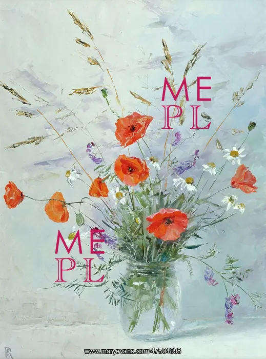 : Poppies, scentless mayweed and vetch : Poppies, scentless mayweed and vetch
