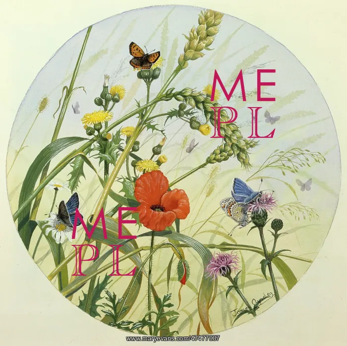  : Poppy, Ears of Corn and Butterflies
