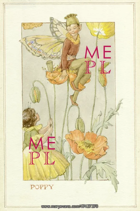: Poppy Fairies : Poppy Fairies