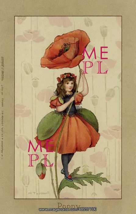 : Poppy fairy : Poppy fairy