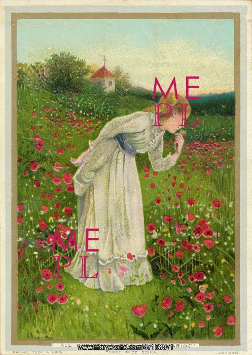  : POPPY FIELD