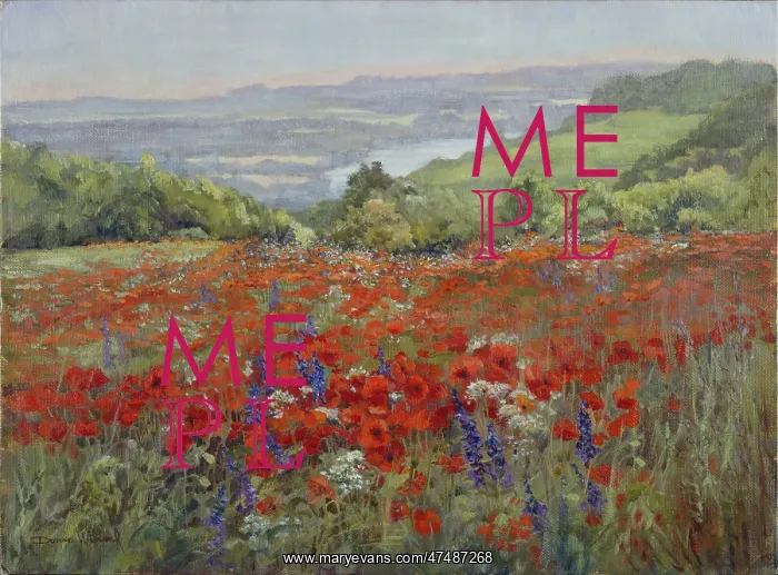 : Poppy Field, La Goulee : Poppy Field, La Goulee
