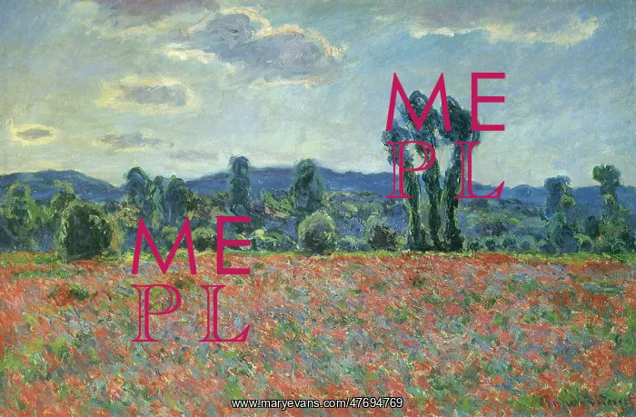  : Poppy Field, by Monet