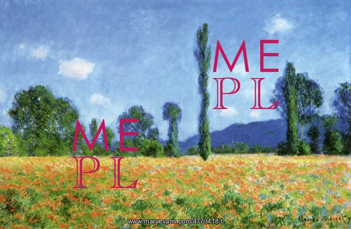  : Poppy Field, by Monet