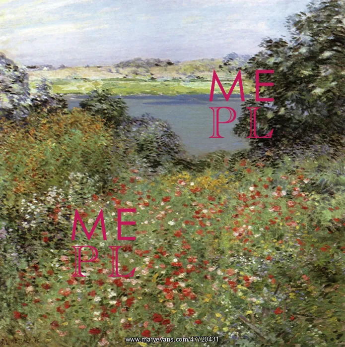  : The Poppy Garden