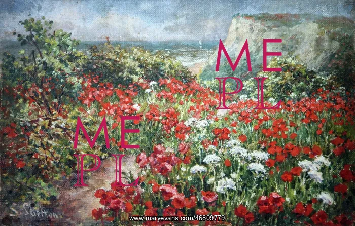  : Poppyfield by the cliffs
