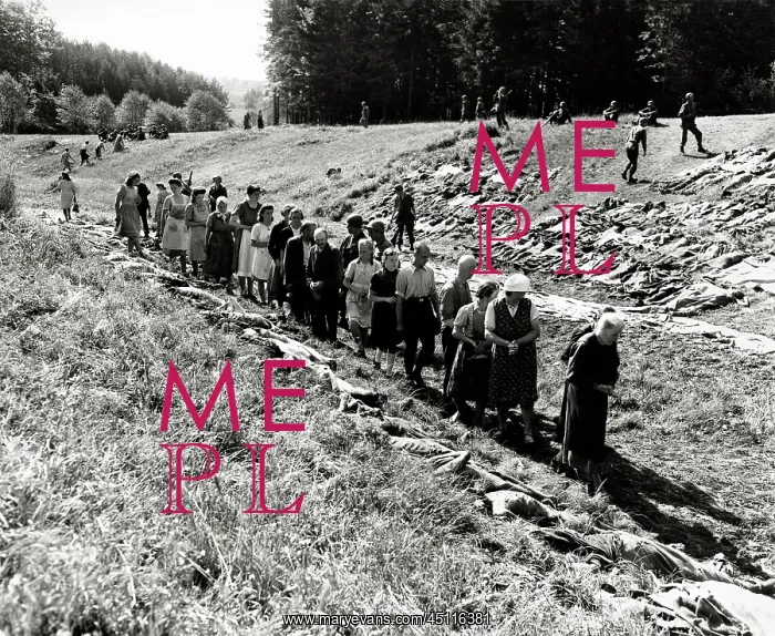 : Population of Passau forced to walk past corpses : Population of Passau forced to walk past corpses