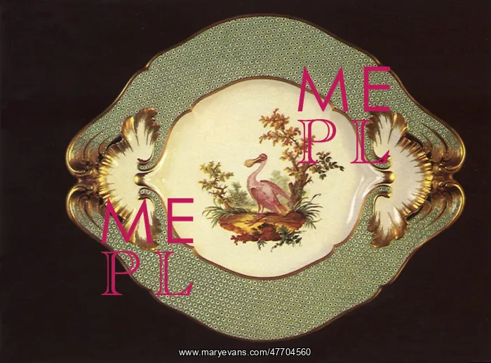  : Porcelain Plate