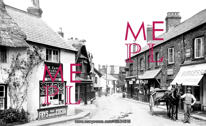  : Porlock, High Street 1919