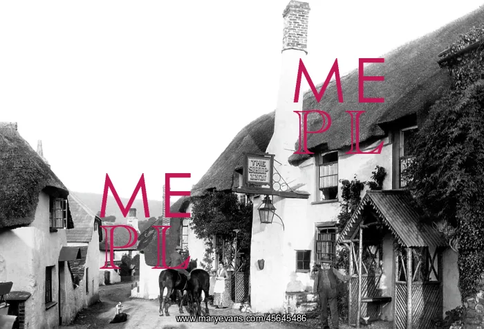  : Porlock, the Ship Inn 1890