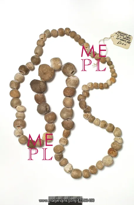 : Porosphaera (sponge) necklace : Porosphaera (sponge) necklace