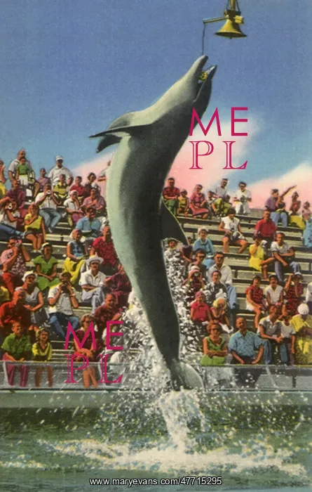  : Porpoise Rings Bell