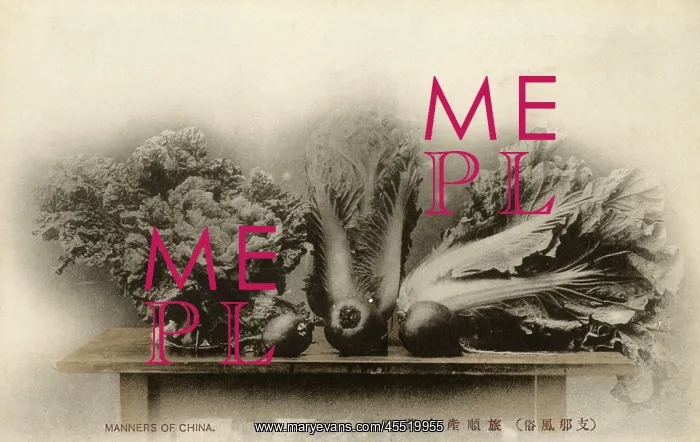  : Port Arthur - Varieties of Chinese Vegetables