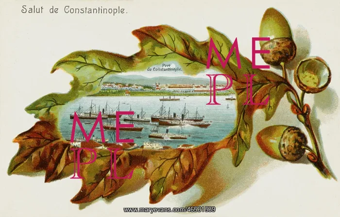 : The port of Constantinople : The port of Constantinople