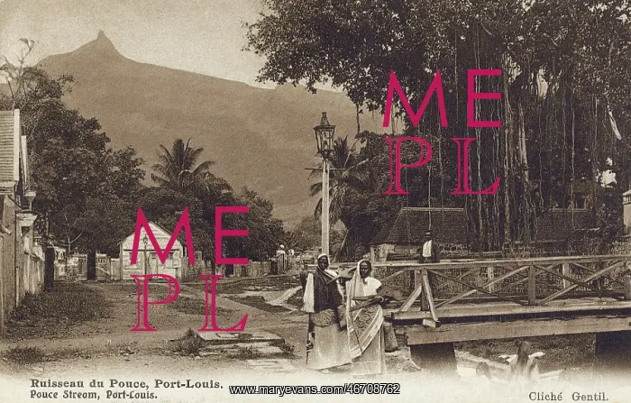  : Port Louis, Mauritius - Pouce Stream