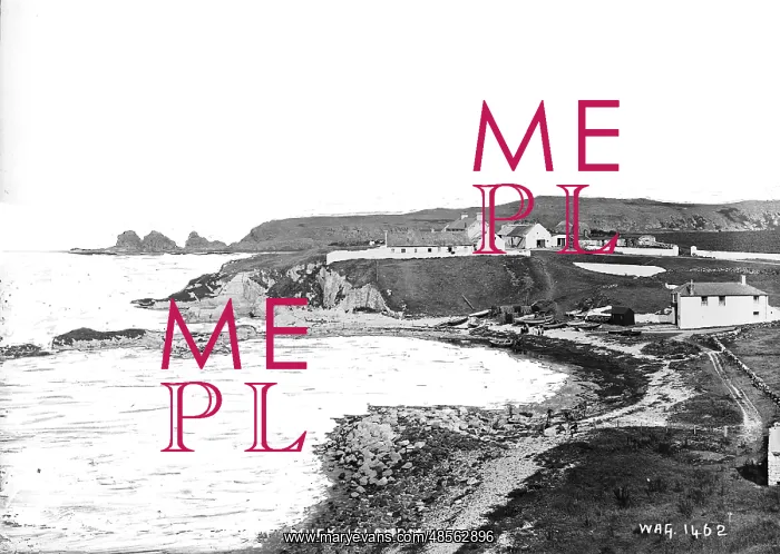 : Port Muck, Islandmagee : Port Muck, Islandmagee