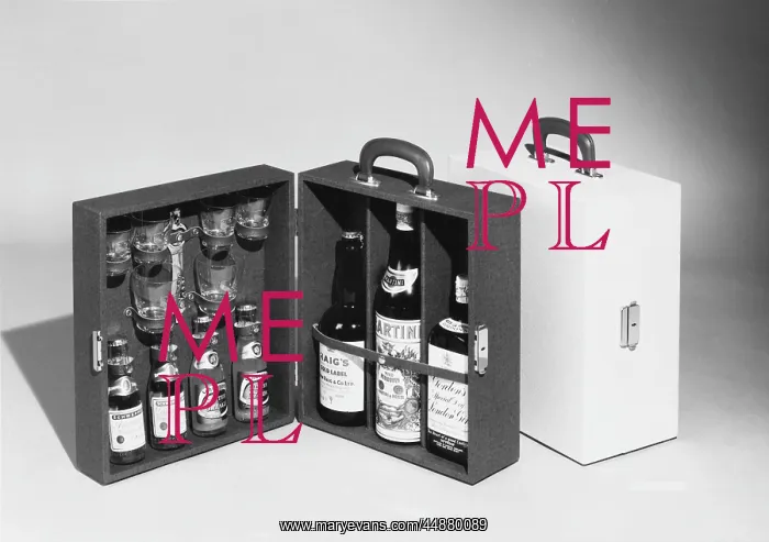 : PORTABLE DRINKS CABINET : PORTABLE DRINKS CABINET