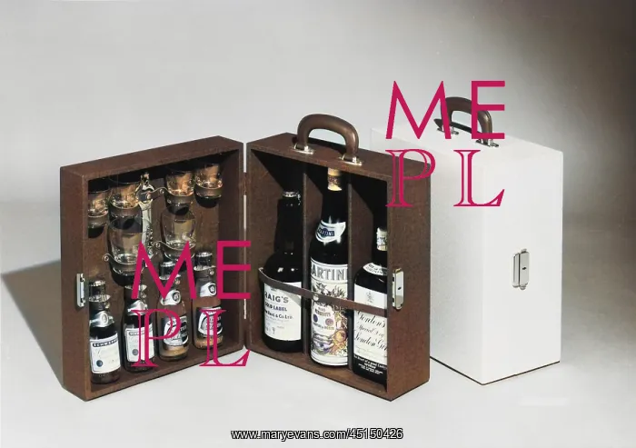 : PORTABLE DRINKS CABINET : PORTABLE DRINKS CABINET