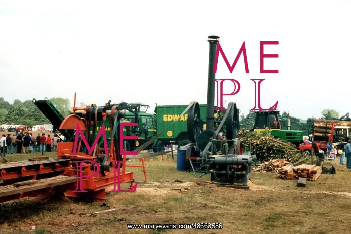 : portable engine driving two sawmills : portable engine driving two sawmills