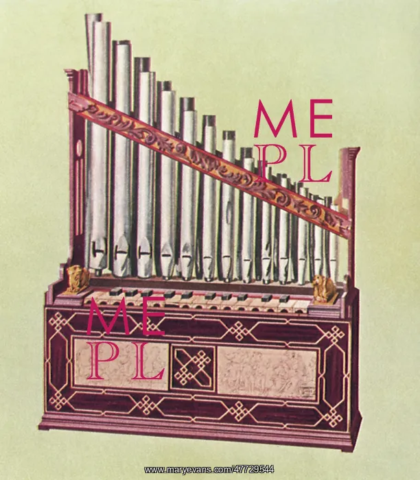  : Portable Organ