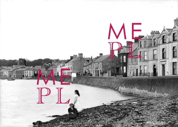 : Portaferry from the Beach : Portaferry from the Beach