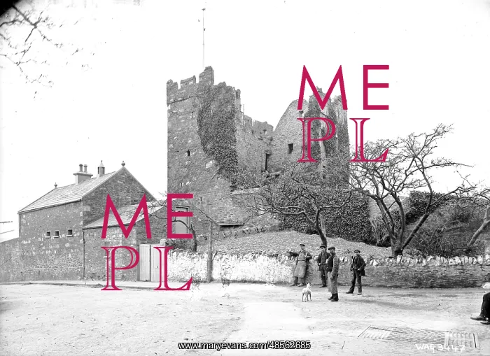 : Portaferry Castle : Portaferry Castle