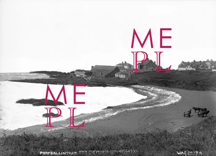 : Portballintrae : Portballintrae