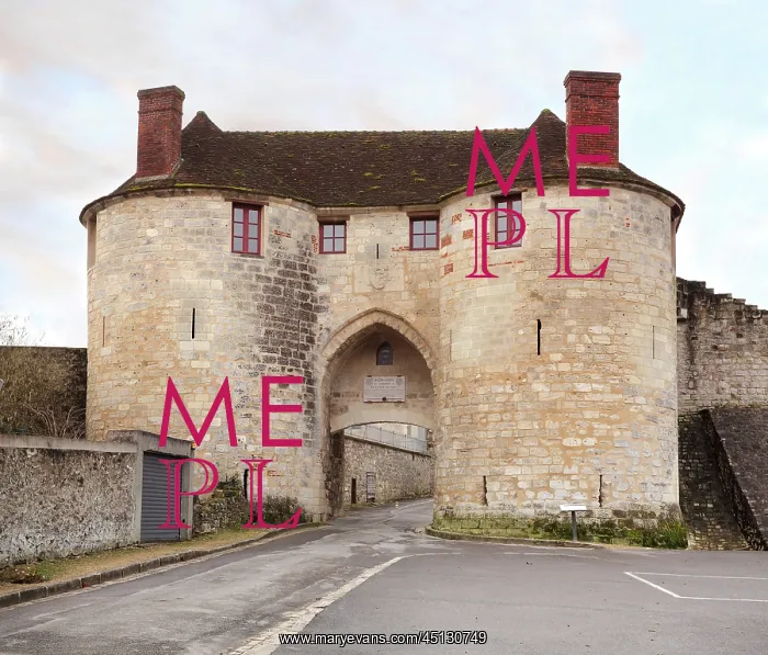 : Porte Saint Pierre, castle of Chateau-Thierry : Porte Saint Pierre, castle of Chateau-Thierry
