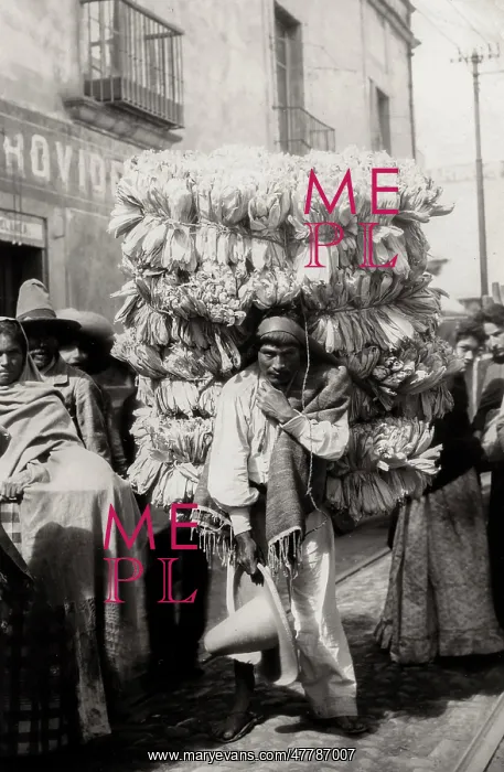 : Porter carrying corn husks for Tamales, Mexico : Porter carrying corn husks for Tamales, Mexico