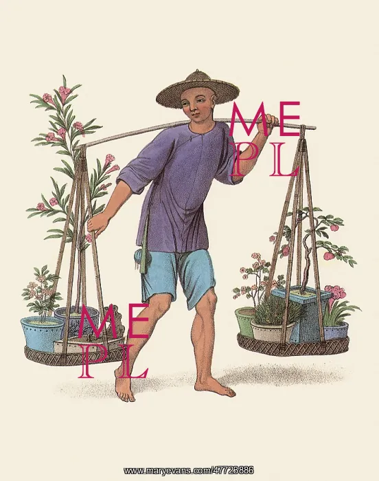 : Porter with Plants : Porter with Plants