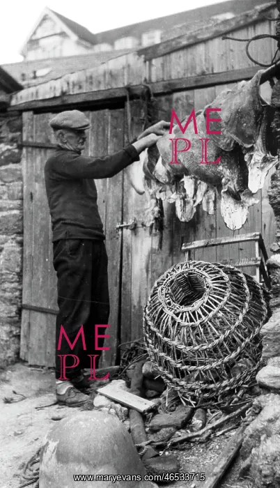  : Porthleven, Preparing the Bait c1955