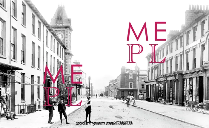  : Porthmadog, the Town 1908