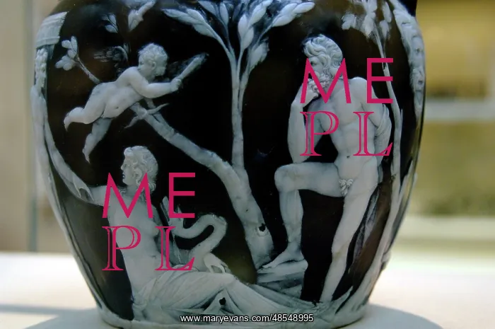 : The Portland Vase. Detail : The Portland Vase. Detail