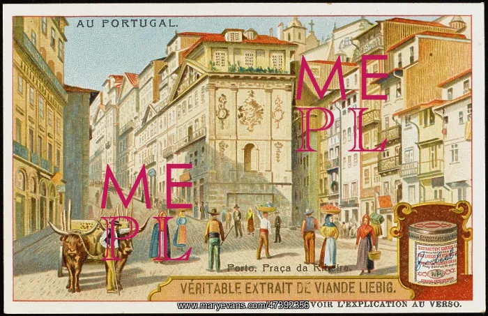  : PORTO (LIEBIG)