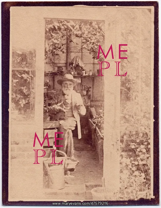 : Portrait. Photograph from the Wallace collection held in the Natural History : Portrait. Photograph from the Wallace collection held in the Natural History