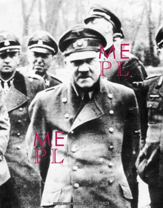 : Portrait of Adolf Hitler, 1945 : Portrait of Adolf Hitler, 1945