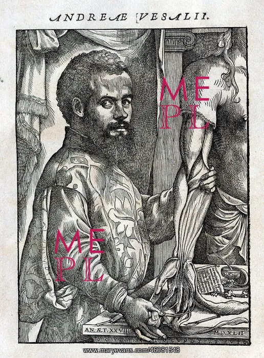 : Portrait of Andreas Vesalius : Portrait of Andreas Vesalius