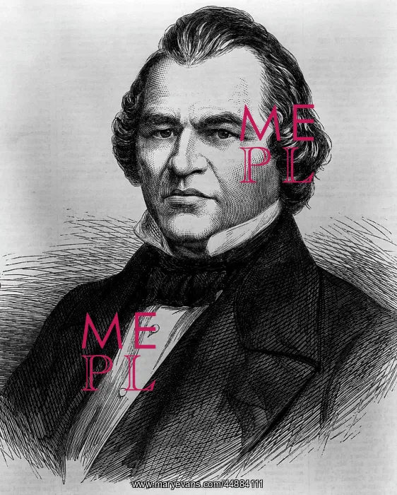 : Portrait Andrew Johnson 1808 - : Portrait Andrew Johnson 1808 -