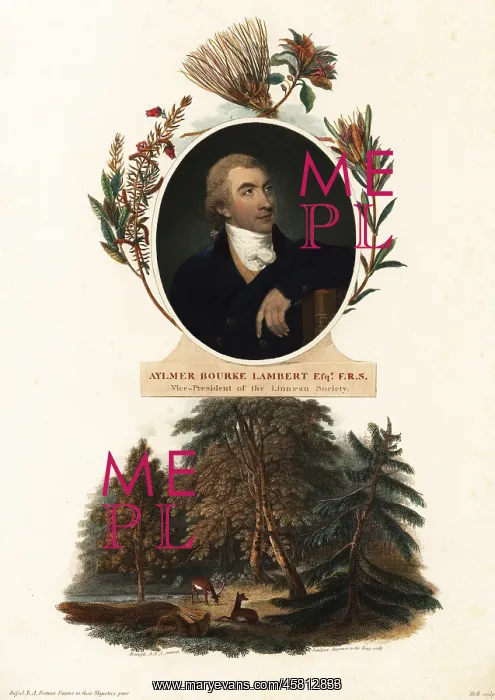 : Portrait of Aylmer Bourke Lambert, botanist : Portrait of Aylmer Bourke Lambert, botanist