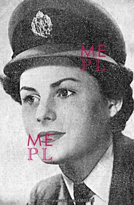 : Portrait of Barbara Hoy, WRAF : Portrait of Barbara Hoy, WRAF