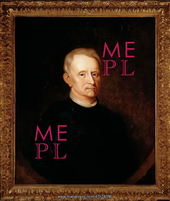 : Portrait believed to be the Dutch Chemist Jan Baptist van He : Portrait believed to be the Dutch Chemist Jan Baptist van He
