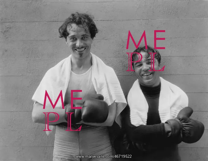  : Portrait of two boxers
