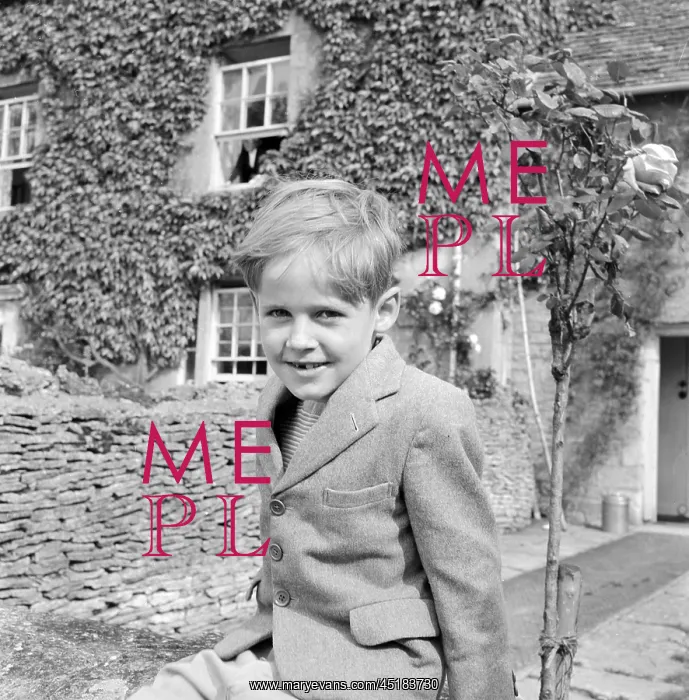 : Portrait of a boy : Portrait of a boy