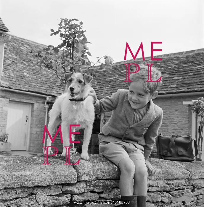 : Portrait of a boy : Portrait of a boy