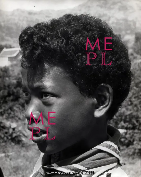  : Portrait of a boy scout, Mauritius