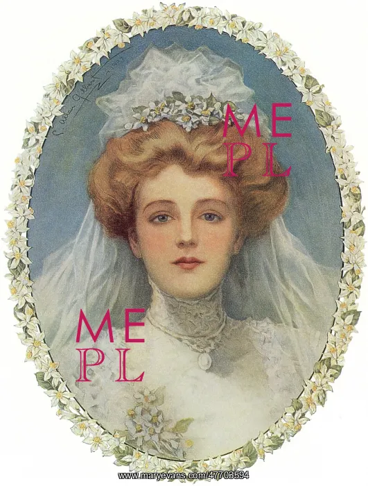  : Portrait of Bride