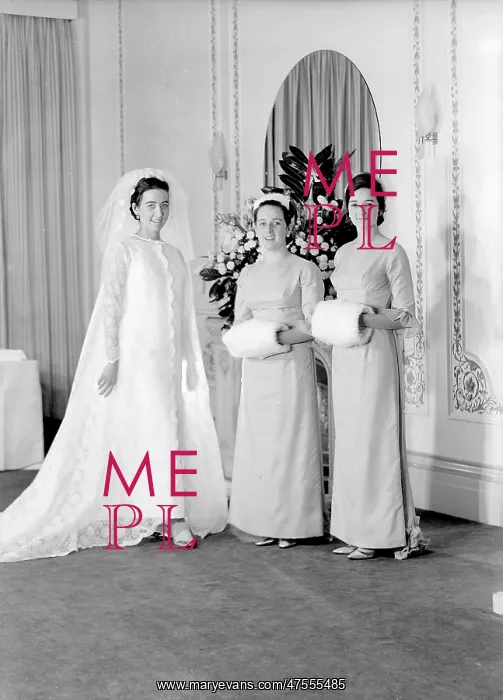 : Portrait of a bride with her bridesmaids : Portrait of a bride with her bridesmaids