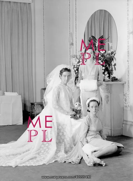 : Portrait of a bride with her bridesmaids : Portrait of a bride with her bridesmaids